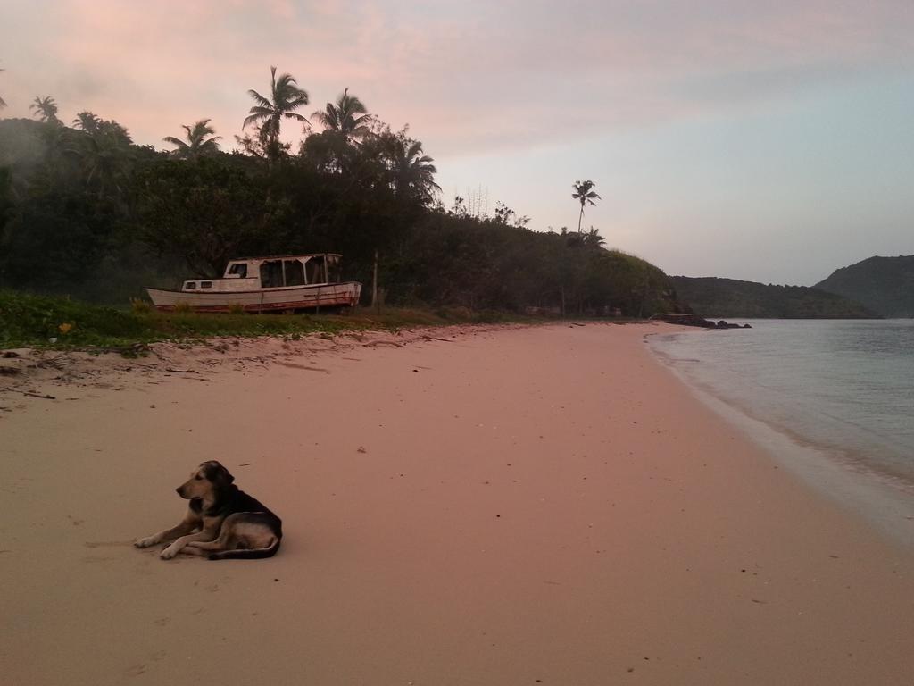 Yasawa Homestays Naisisili Zewnętrze zdjęcie