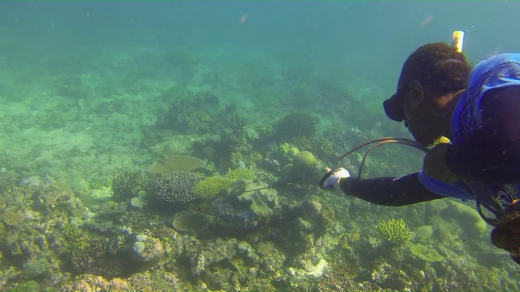 Yasawa Homestays Naisisili Zewnętrze zdjęcie